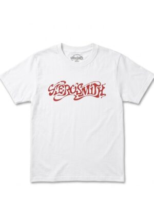 franela aerosmith