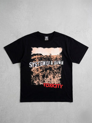 franela system of a down toxicity